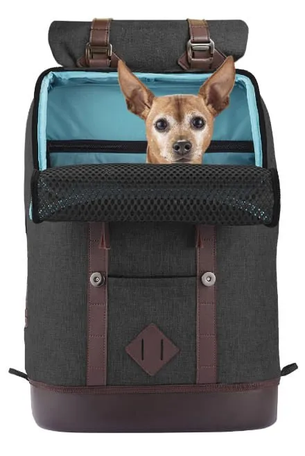 Kurgo K9 Rucksack Pet Carrier